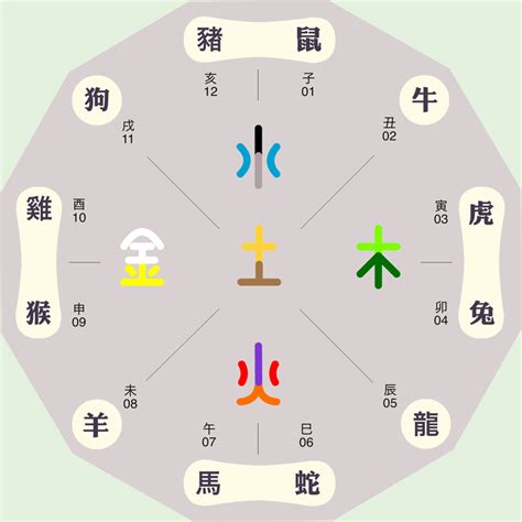 畯五行|楒字的五行属性是什么？ 跪求！！！！！